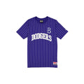 Brooklyn Dodgers Throwback Retro Pinstripe T-Shirt