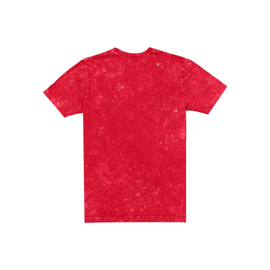 San Francisco 49ers Throwback Washed T-Shirt