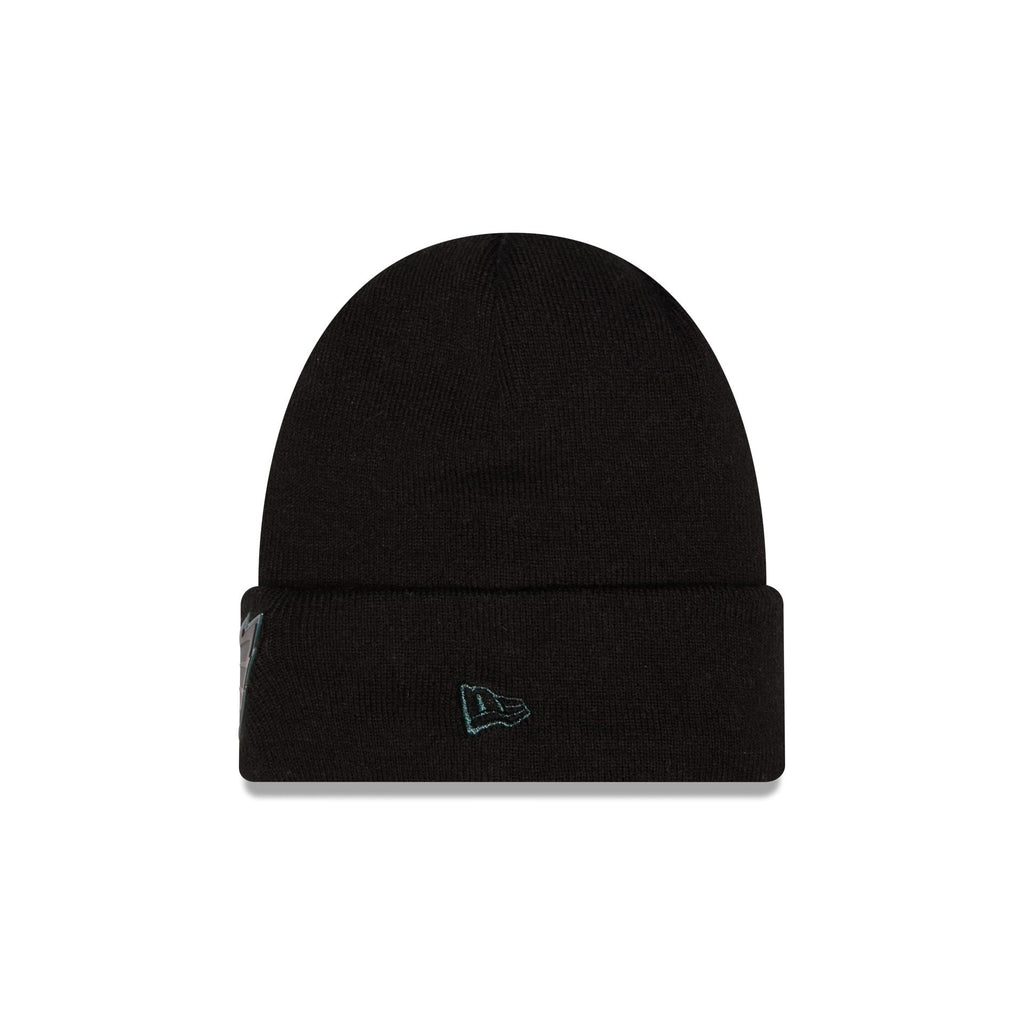 Philadelphia Eagles All Black Beanie Hat