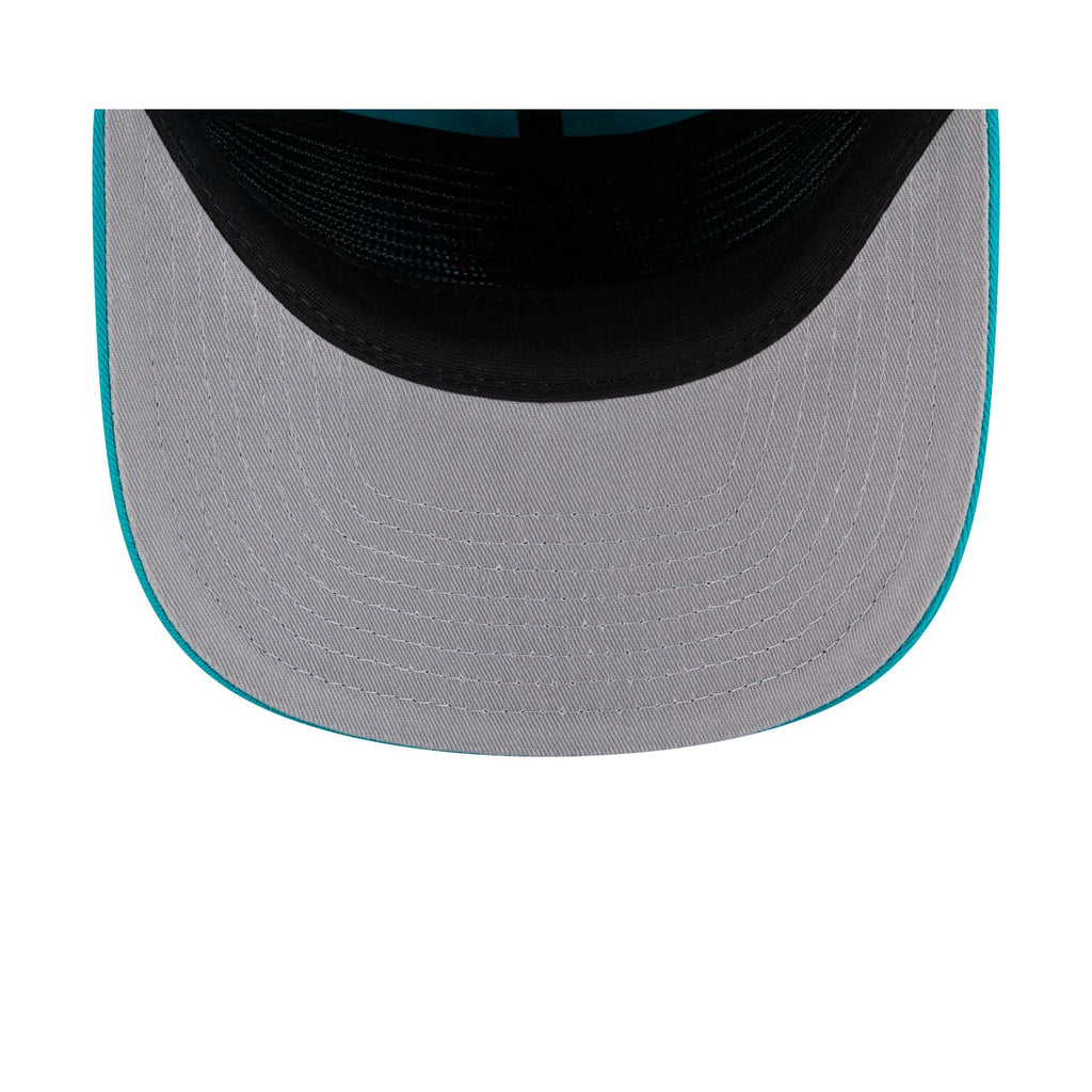Miami Dolphins Team 19TWENTY Snapback Hat